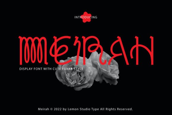 Meirah Display Font: Funky Vintage Style for Modern Brands
