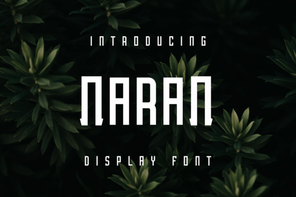 Naran Display Font Review for Makers and Shops
