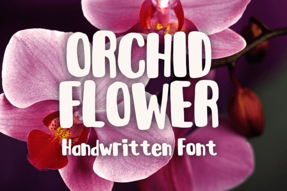 Orchid Flower: A Playful Handwritten Display Font for Branding
